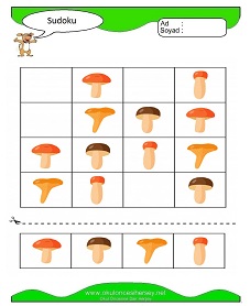 Sudoku Çocuk Bulmacaları